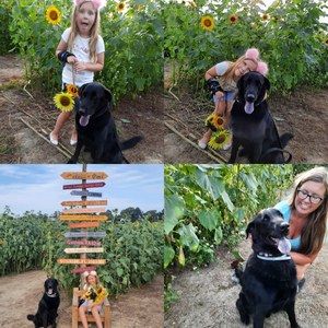 Meet your Posher, Meredith